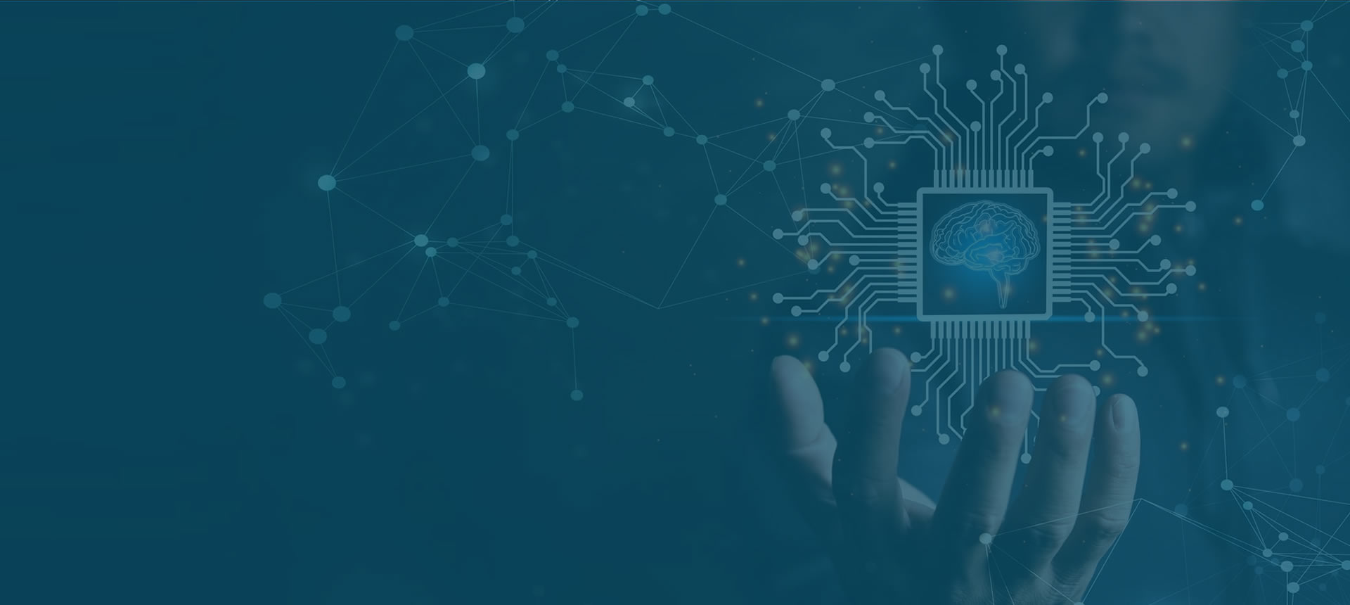 Imagen del carrusel principal